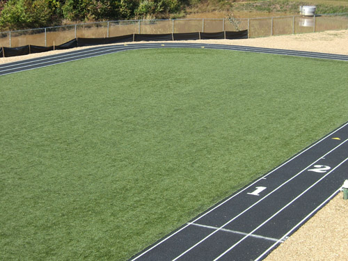 Synthetic Turf and Synthetic Grass design and installation Deluxe